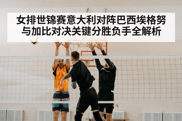 volleyball net block