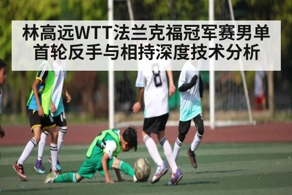 林高远WTT法兰克福冠军赛男单首轮反手与相持深度技术分析